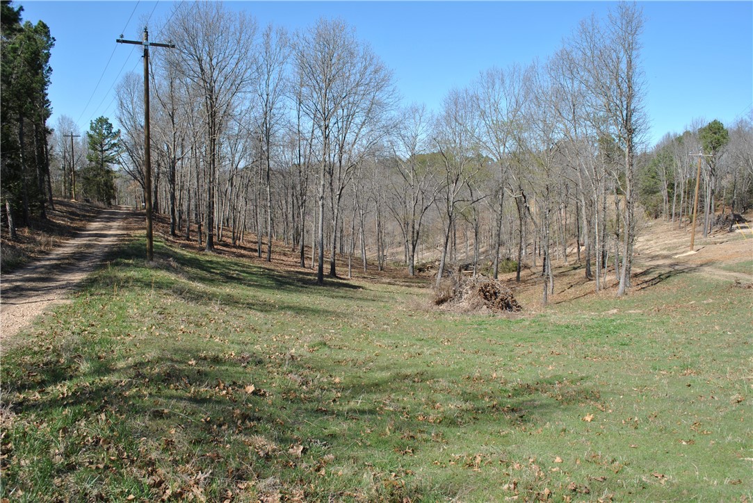 New survey April 2024 ! Build your lake area cabin on this wooded lot in the Rocky Branch Resort area. About a mile and a half from public boat launch at Rocky Branch State Park and Marina. Nearby Hobbs State Park hiking and biking trails, War Eagle Mill and Caverns. Electricity runs along East Robin Road Benton County Water Authority #5 municipal water at Rocky Branch Road. Taxes shown are for the entire parcel. Additional contiguous lots available.
