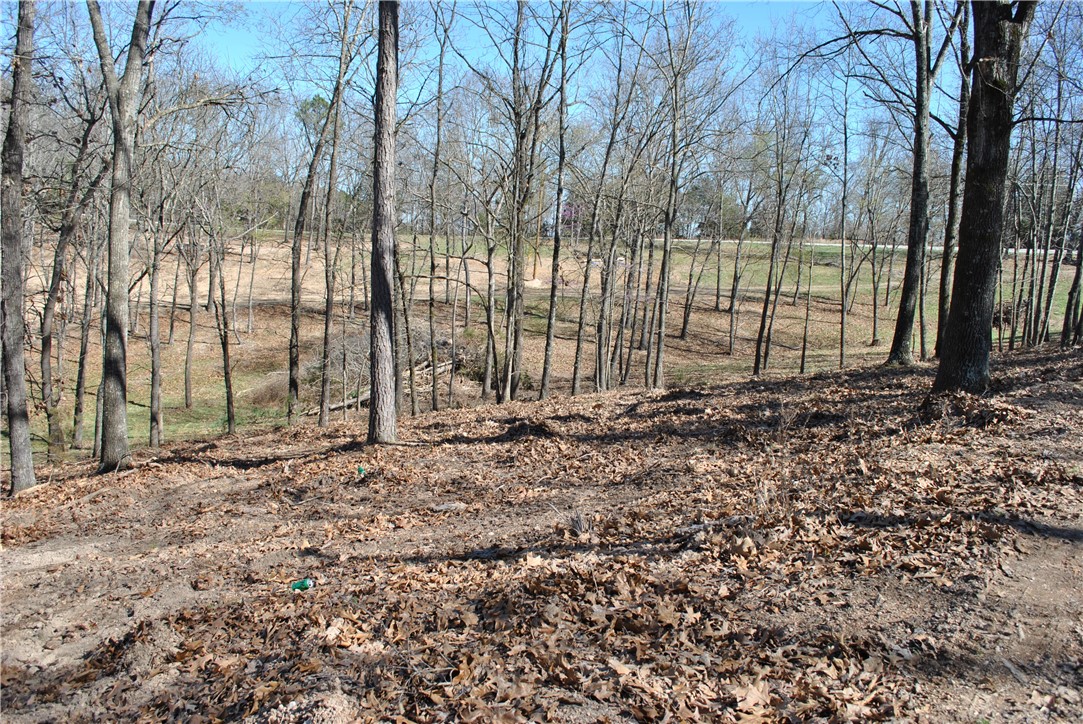 Tanglewood Resort 2 Rurban - Land