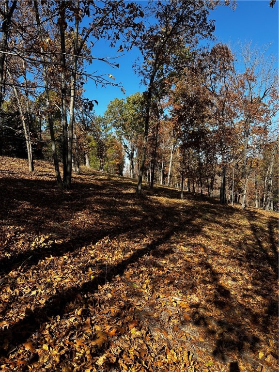 Tanglewood Resort 2 Rurban - Land