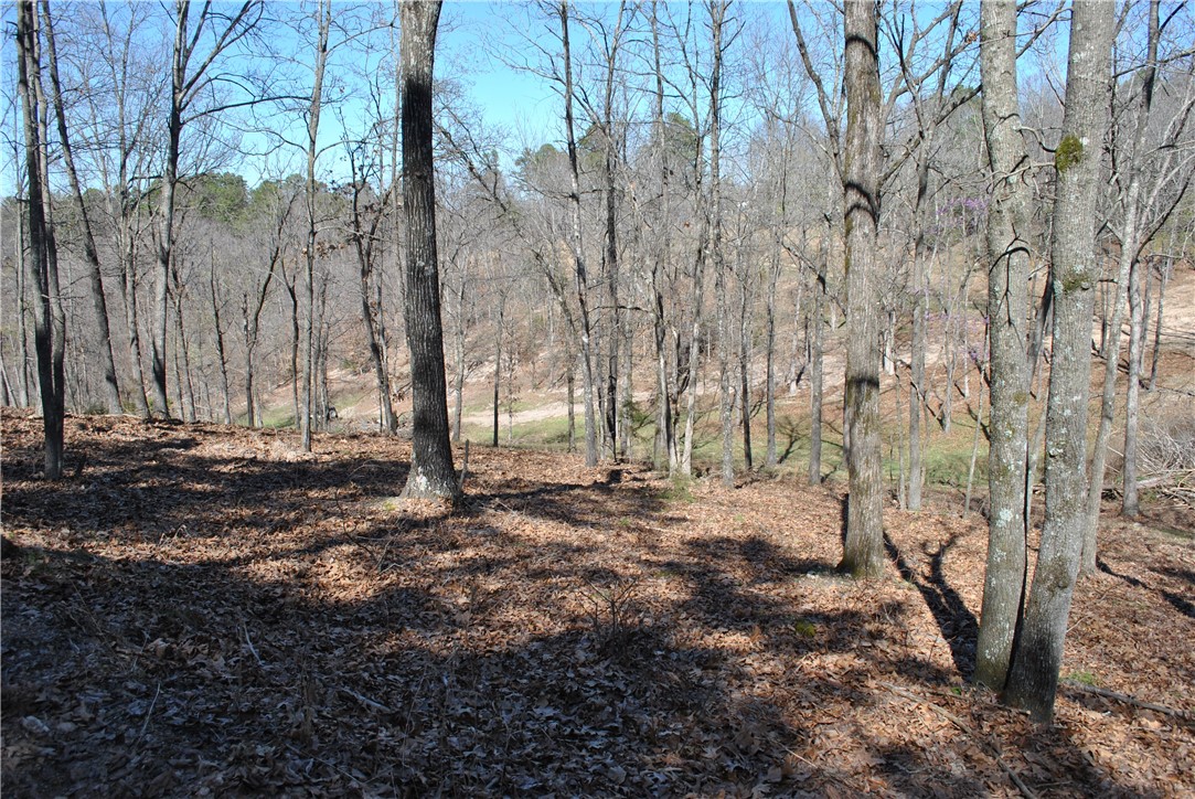 Tanglewood Resort 2 Rurban - Land