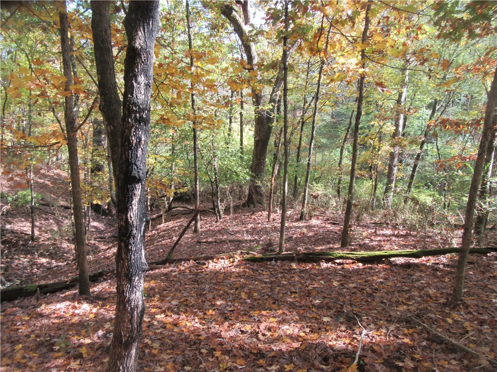 Freeman - Land