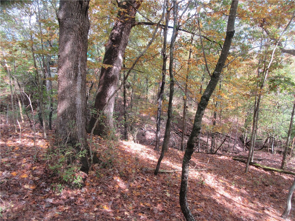 This is a great opportunity to own a small lot in Eureka Springs. Heavy woods and currently a bird haven and also to be found an occasional deer family.l