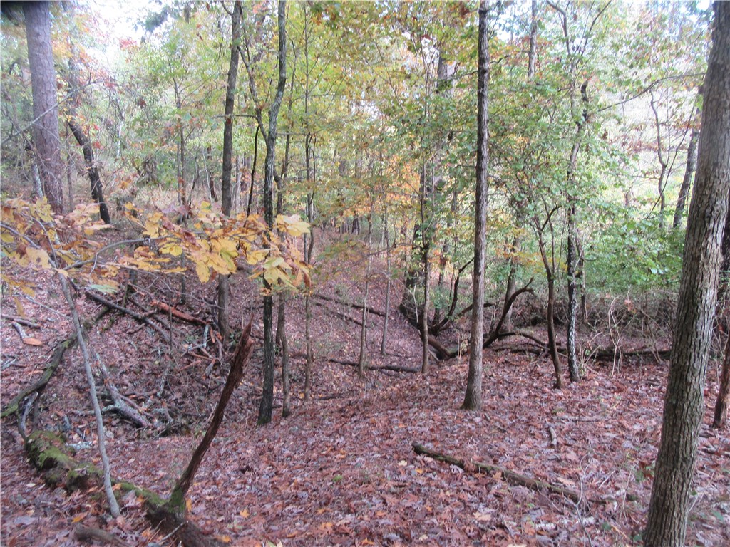 Freeman - Land