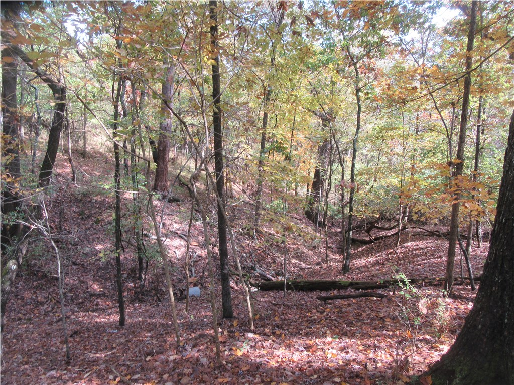 Freeman - Land