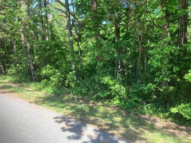 Beautiful lot located in Bella Vista. Approx .36 acres and is gently sloping. A perfect place to build your dream home. Lot Ownership gives you access to 7 lakes,7 golf courses and access to fitness facilities along with hundreds of miles of hiking and biking trails. Make your dreams a reality