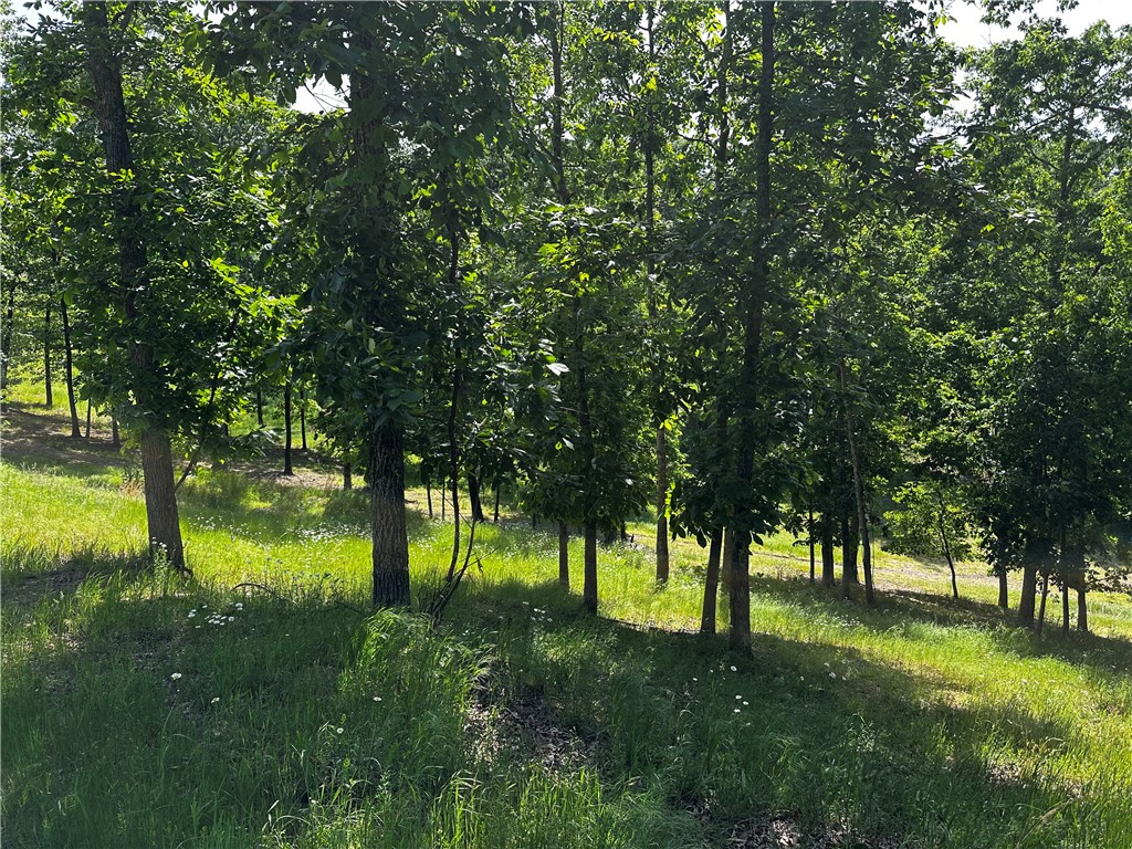 Lot 81 Tanglewood Resort 2 - Land