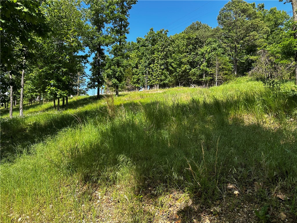 Lot 81 Tanglewood Resort 2 - Land