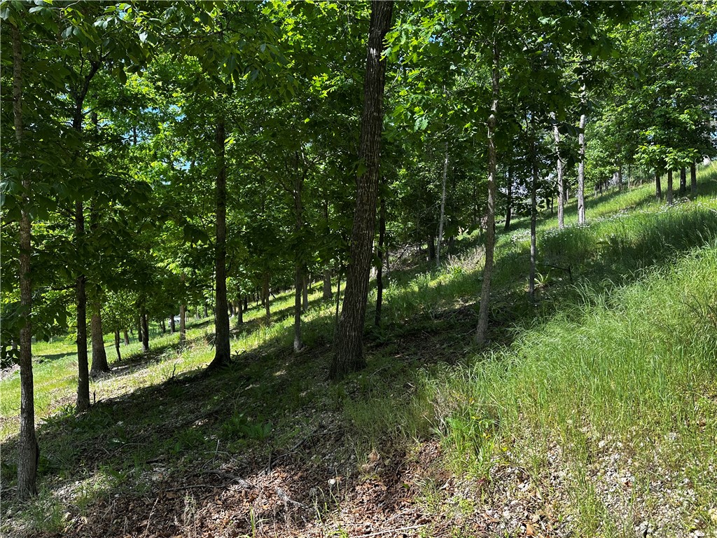 Lot 81 Tanglewood Resort 2 - Land