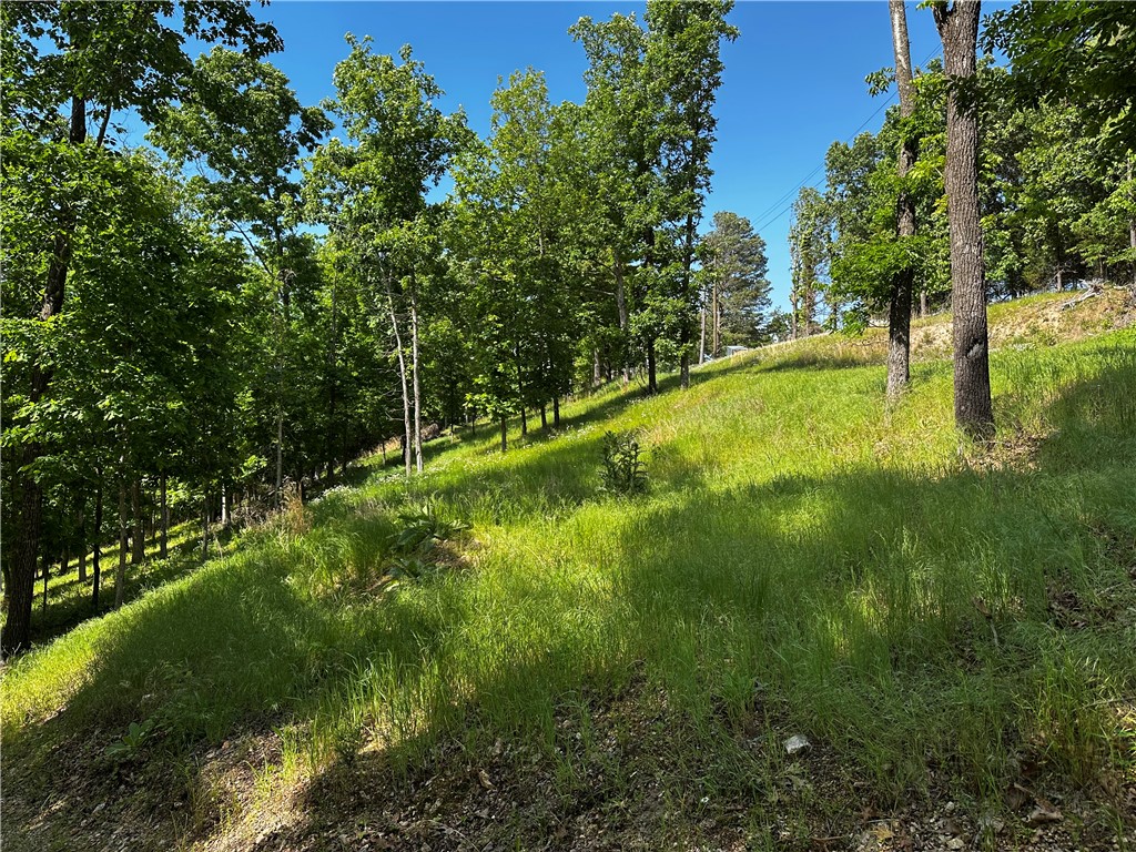 Lot 81 Tanglewood Resort 2 - Land