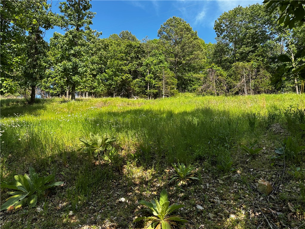 Lot 81 Tanglewood Resort 2 - Land