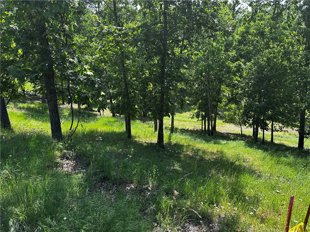Lot 81 Tanglewood Resort 2 - Land