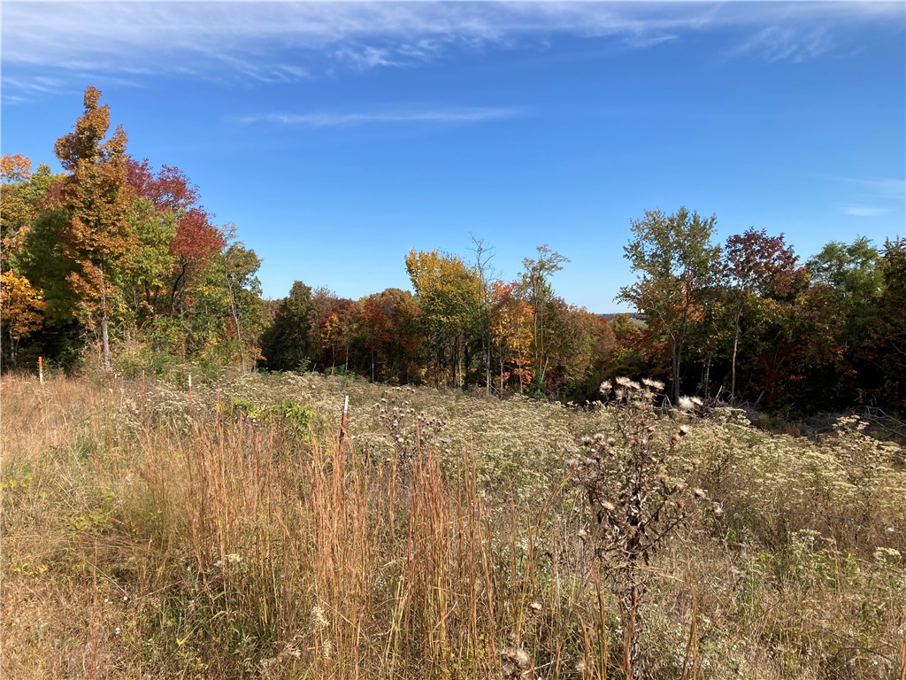 Mostly wooded 4 acre m/l lots. Offers serenity and lots of wildlife. Very rural, however, you only have approximately 1/4 mile of dirt road. There are two lots but the seller will only sell one of them, when one sells the other will be cancelled off of listing.