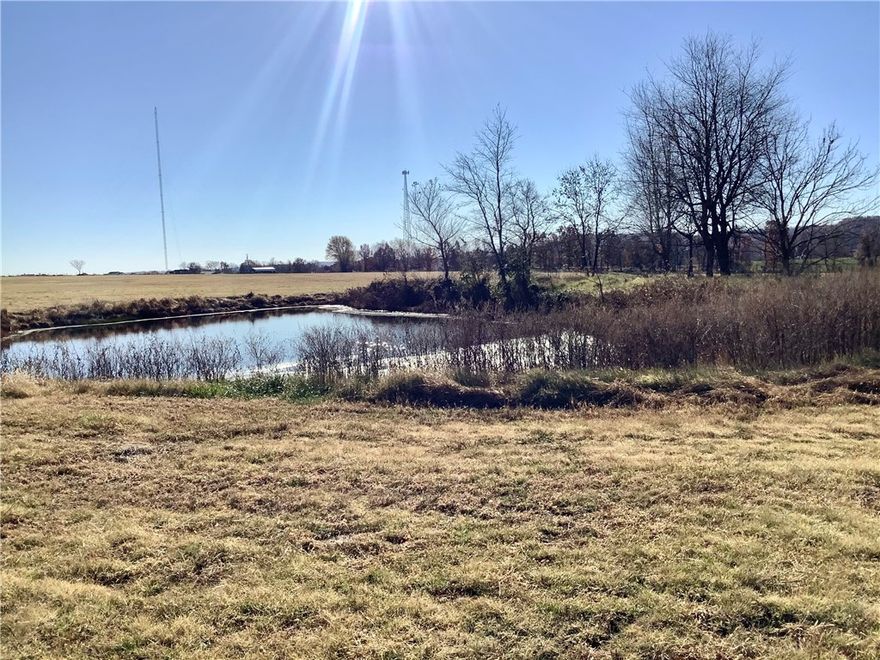 Gorgeous 74+/- acres ready for a new owner. Possible development potential or keep it for agricultural use or build your dream home and enjoy the mountain views. Pole shed on property conveys. Ozarks go and AT&T internet are available.