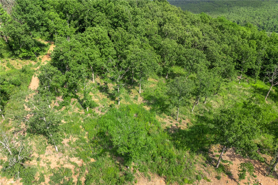 Round Mountain Estates - Land