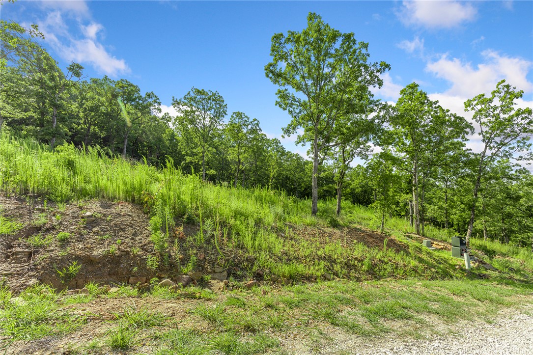 Round Mountain Estates - Land