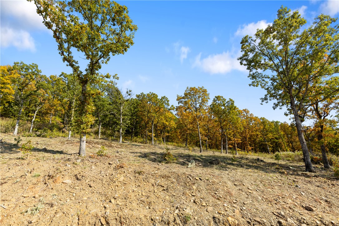 Round Mountain Estates - Land
