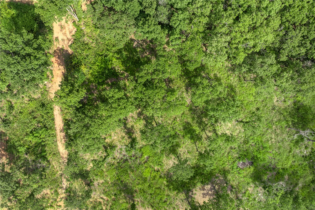 Round Mountain Estates - Land