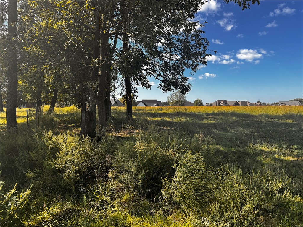 Pepper Hills outlots - Land