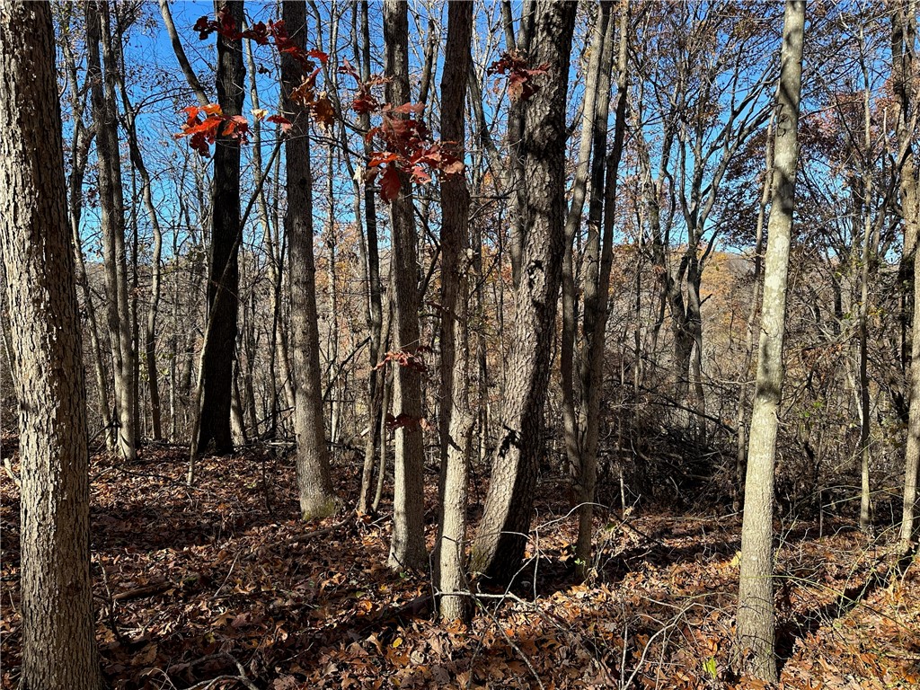 POSY MOUNTAIN RANCH UNIT 4-RURBAN - Land