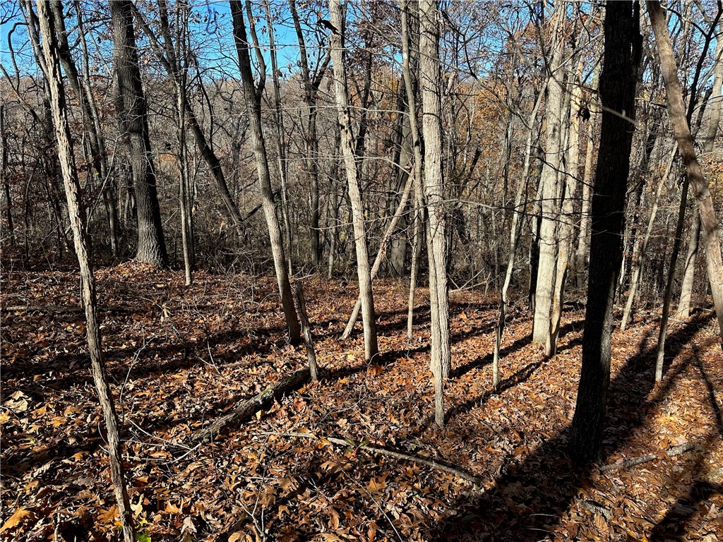 POSY MOUNTAIN RANCH UNIT 4-RURBAN - Land