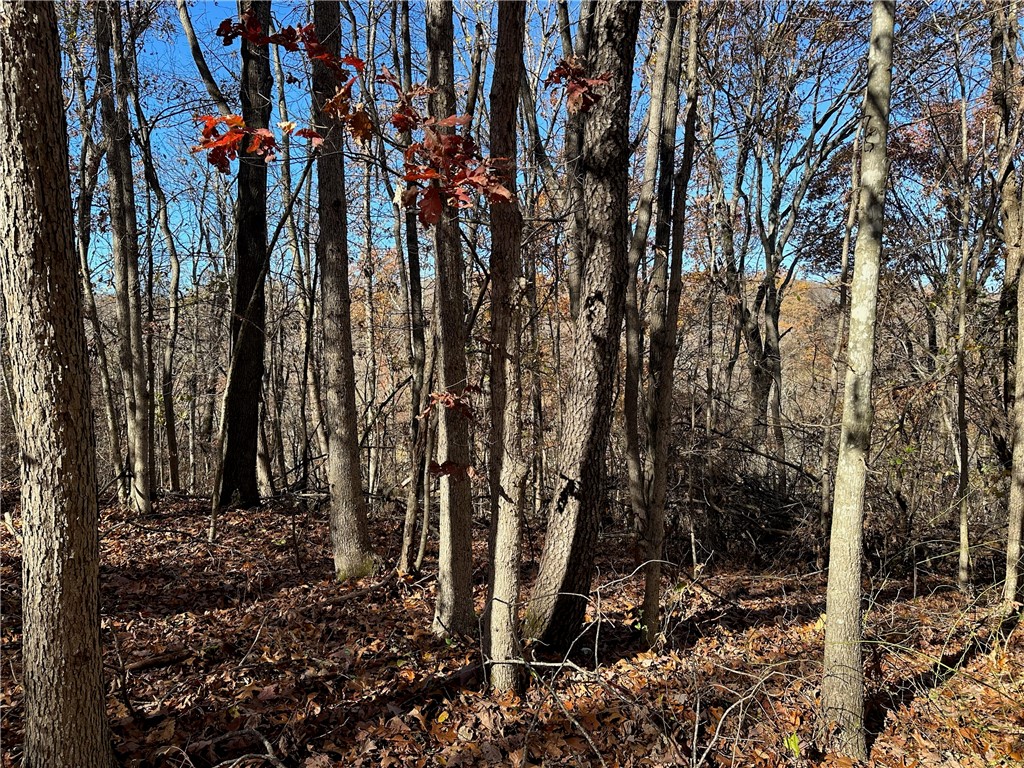 POSY MOUNTAIN RANCH UNIT 4-RURBAN - Land