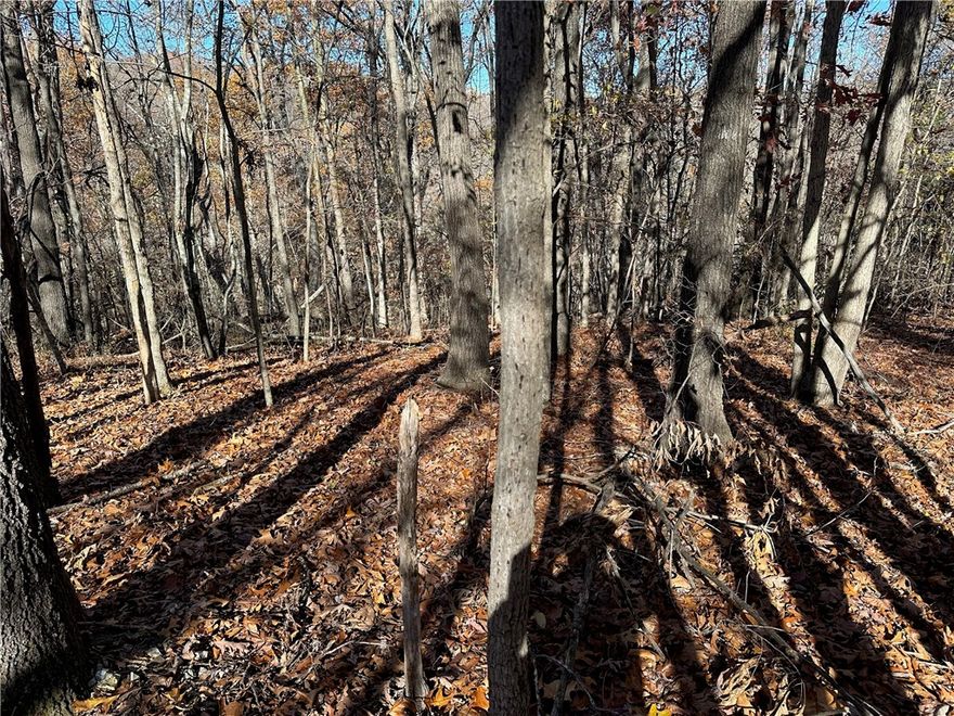 Discover serenity on this 1.44-acre sanctuary on Clover Lane, nestled in the coveted Lost Bridge Village Community. This parcel offers tranquility & accessibility- creating the perfect canvas for your secluded haven. Immerse yourself in the seclusion of this wooded area, providing a serene vibe that feels a world away from the hustle & bustle. Yet, with less than 13 miles separating you from Downtown Rogers, you can effortlessly balance the quiet retreat with the energy of city life. The proximity of Beaver Lake adds adventure & natural beauty to your everyday life. Whether you seek outdoor activities or simply want to soak in the scenic surroundings, this property caters to your desires. Discover the magic of being close to nature while maintaining proximity to the City of Rogers. The private feel of this 1.44-acre retreat is complemented by its strategic location, offering the best blend of seclusion & convenience.