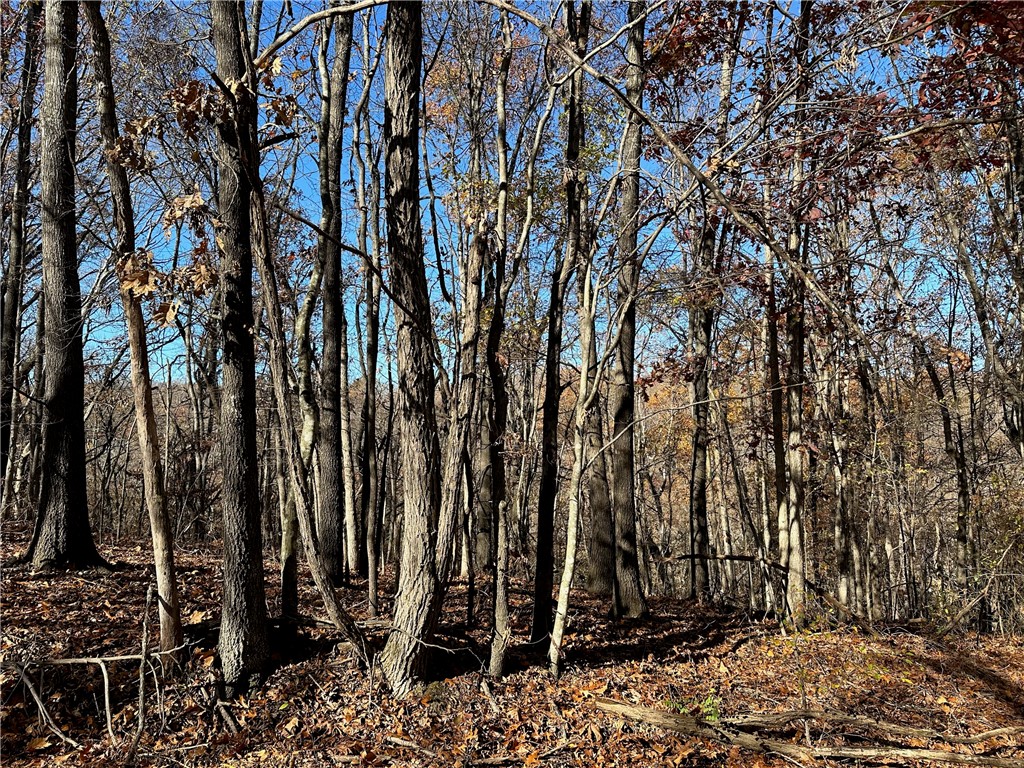 POSY MOUNTAIN RANCH UNIT 4-RURBAN - Land