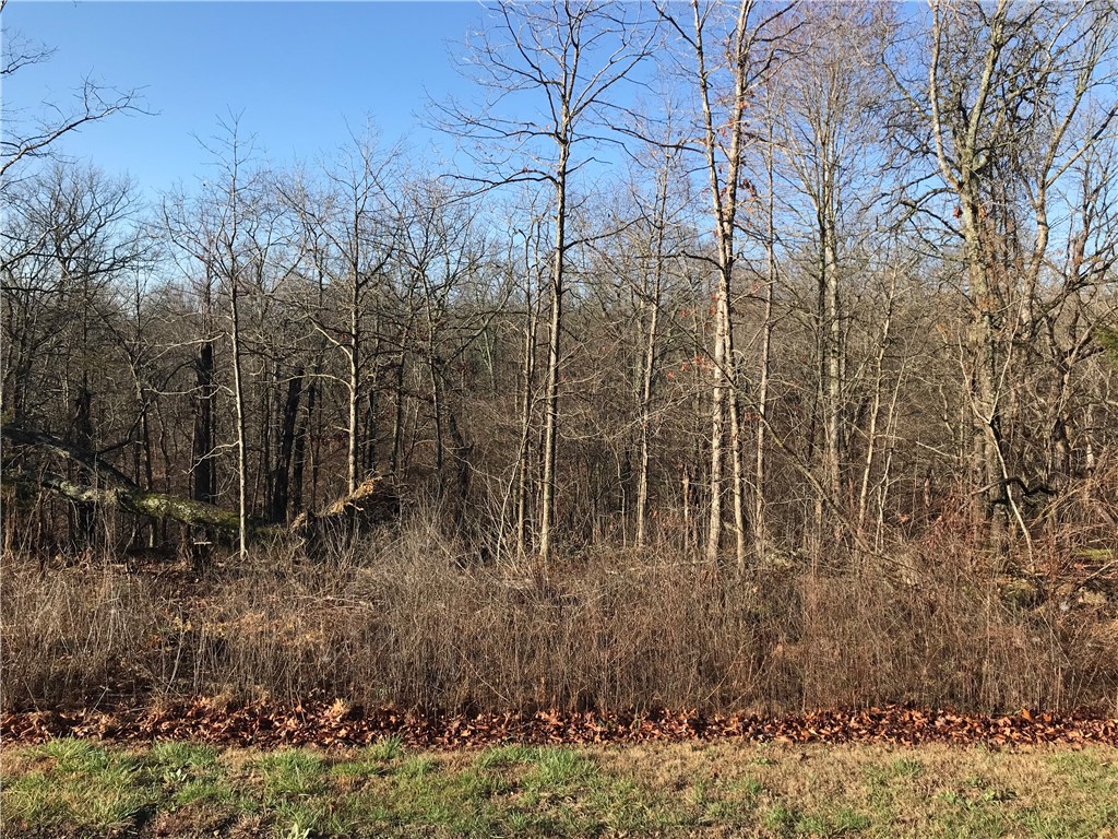 Residential lot in Bella Vista. Located close to Branchwood Activity Center, Lakepoint, Loch Lomond Marina and Recreational Area, and Scotsdale Golf Course. Easy access to I49 for daily commute.