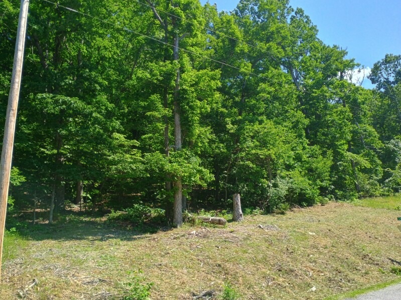 Holiday Island Unit 2 - Land