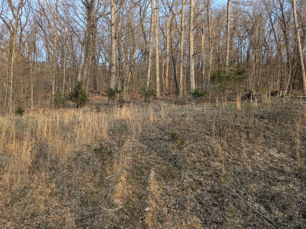 Holiday Island Unit 2 - Land