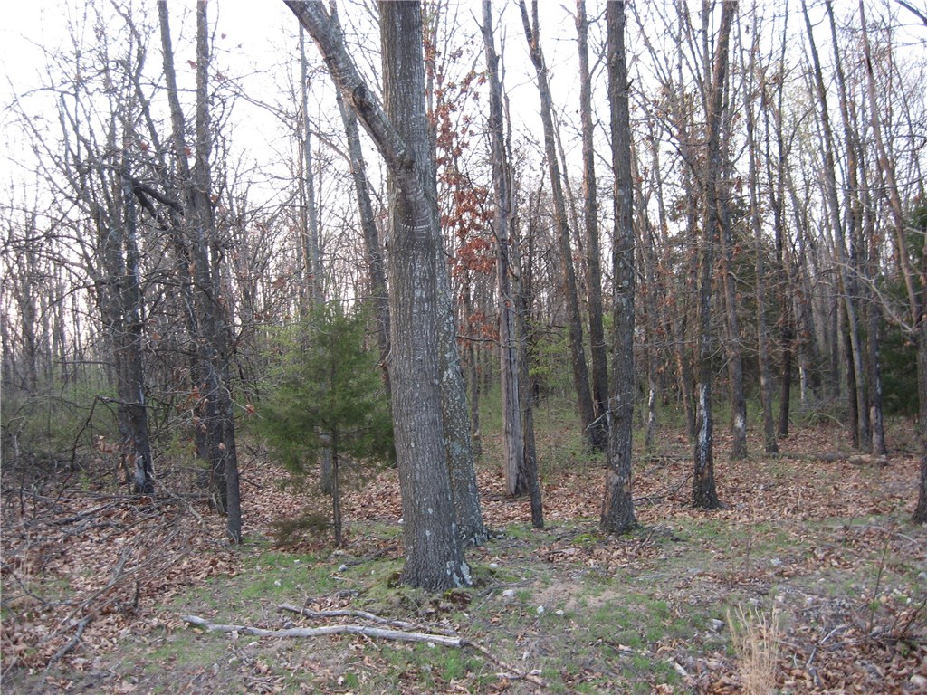 Slopping lot, build able in a secluded area, close to the MO State line. This area is close to Jane MO Walmart and other State line business, not far from Branchwood recreation center.