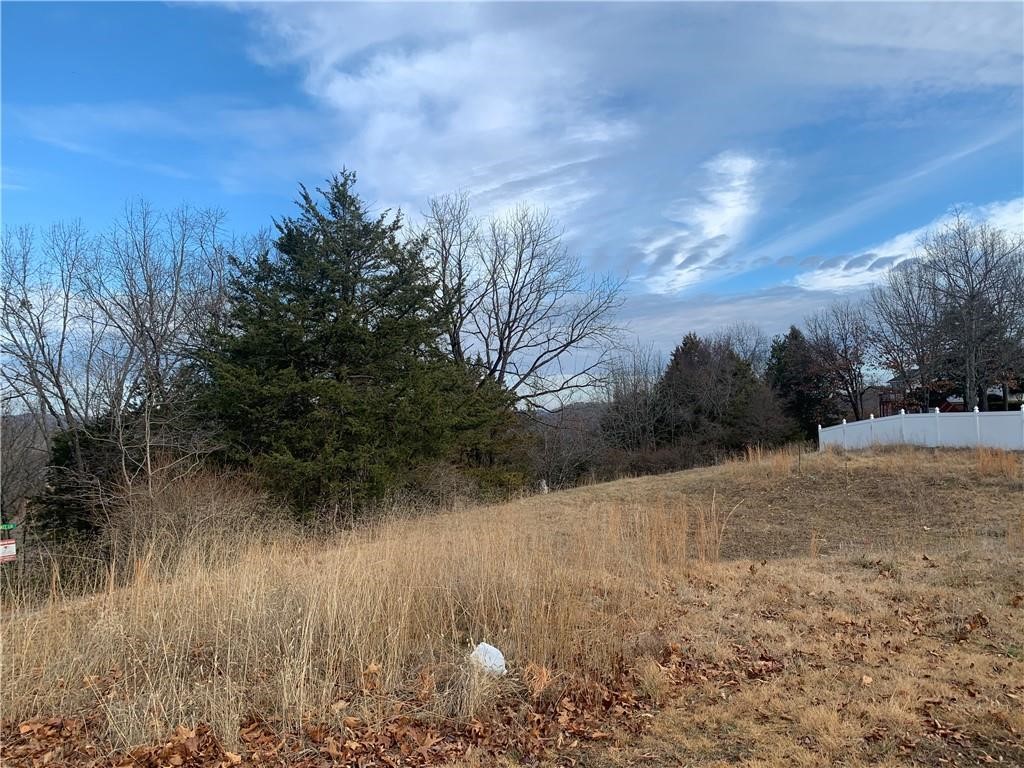 Fantastic lot with a seasonal Beaver Lake View! Come and build your dream home on this beautiful property that has community water available! Paved road!Just minutes from the lake and the marina.