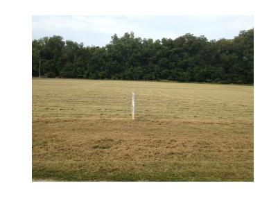 GREAT BUILDING LOT IN THE CITY OF ROGERS AND IN THE BENTONVILLE SCHOOL DISTRICT. FLAT LOT CLOSE TO SHOPPING, RESTARAUNTS AND WALMART HOME OFFICE.
