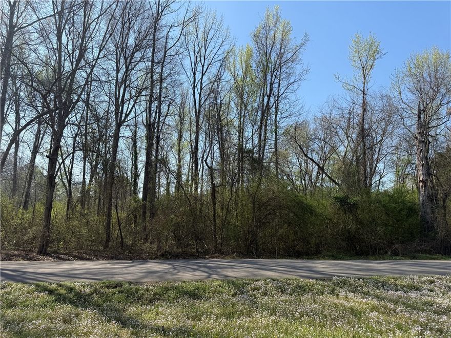 Within minutes to the Lake Ola-Dale, this lot is the perfect area to establish a home. Across from a pavilion and park area, quiet neighbors, and picnic table area lakeside just minutes down the street, you can have views and serenity at home! Near the Dollar General and service station for extra convenience!