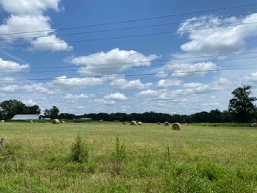 113.3 acres on east side of Hwy 109.  Land is level city water and electric at toad as well as pressure sewer.  This is prime land.  Great location for industrial development.  Survey on file.  Corners Walmart Distribution.  5 acres in SW/4 sold for $25,000/acre.  This property is for sale for $18,000 per acre as a whole.