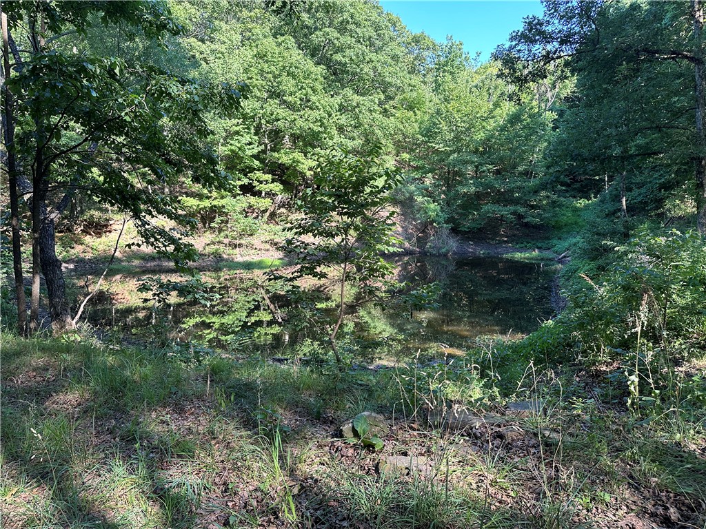 Discover the perfect blend of privacy and convenience at 15496 Low Gap Wc 100th, West Fork, AR. This property spans over 10.28+/- acres of wooded, sloping land, offering a private escape amidst nature.
The property features a 12x24 cabin that is ready for immediate use- complete with a living space, a half bath, and a washer and dryer included. Additionally, there is an unfinished 14x50 cabin with all necessary materials on site to complete a spacious living area tailored to your preferences. A Conex box provides secure storage and conveys with the sale.
Utilities are readily available with electricity, rural water, and a septic system already in place. Natural amenities include a charming pond and an abundance of wildlife, including deer and other small game.
Whether you seek a peaceful retreat, a hunting cabin, or a unique opportunity to complete and customize your own living space, this property provides the perfect canvas. Don’t miss your chance to own this secluded woodland paradise.
