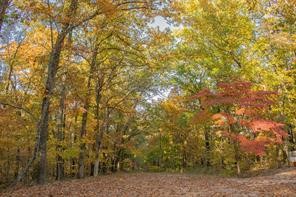 Check out this wonderful building lot for your dream home.