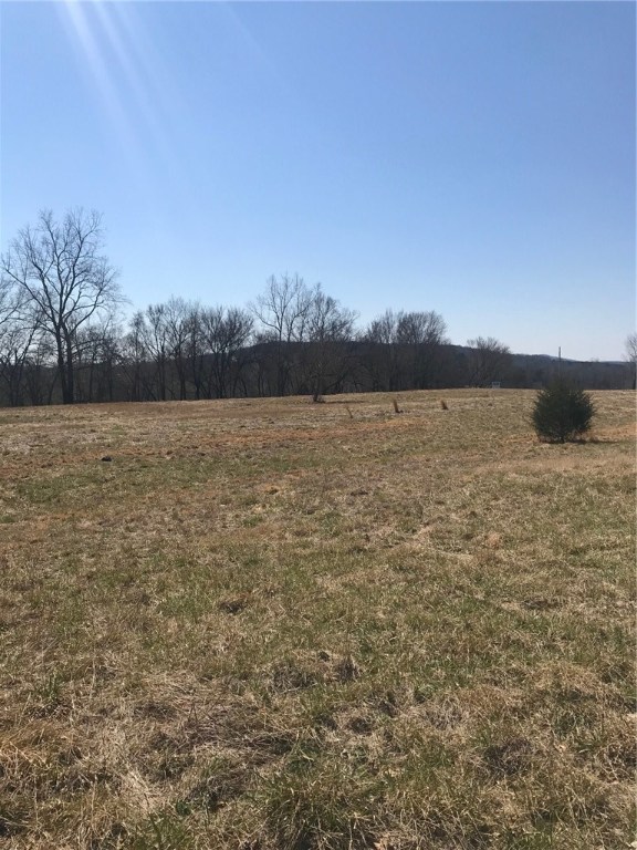 Build your dream home or possibility of 2 homes on this fabulous 4.57ac parcel in beautiful Goshen! Growing area with estate homes on large lots. Live the country life and still be within 10 minutes of Fayetteville. Electric at property line; public water at street. Vandergriff/McNair/Woodland schools. See also ML#1107204 for additional 9.63ac.