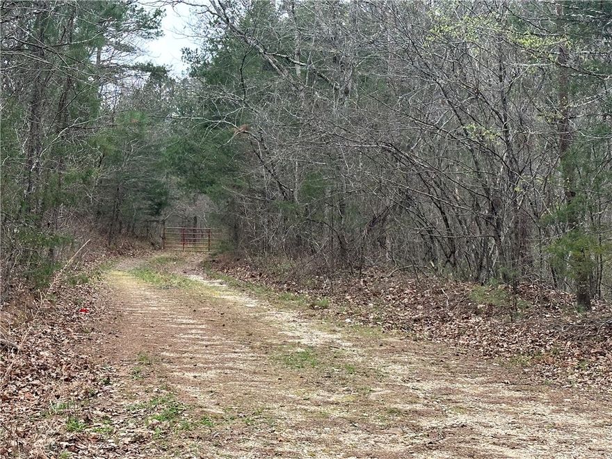 Looking for the place to build with utilities, close to pavement, and no restrictions? Large mixture of hardwood and pine trees with a great building site.  Rural water and electric already on site, older homestead and outbuildings, nice pond on property, seasonal creek, and short drive to the Buffalo River.