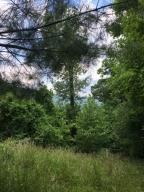 The variety of flora and fauna along with a spring fed pond as well as huge moss and lichen covered boulders make for a hikers paradise on this 25acres m/l in Murray. Minutes away from the Little Buffalo River with incredible views. Relics remain in the form of a cabin embraced in ancient wisteria vine along with remains of a bathhouse. Year round spring. Phone available.