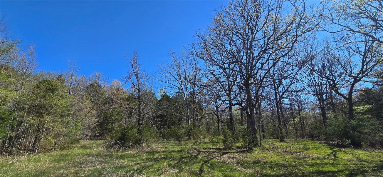 If you are looking for a quiet and secluded parcel located just outside of town, then look no further. This 10 acres is surveyed and unrestricted; located in Lead Hill off Grassy Gap Road. The wooded tract is level to gently rolling, located at the end of the road and would be great for recreational use or an off grid build site.