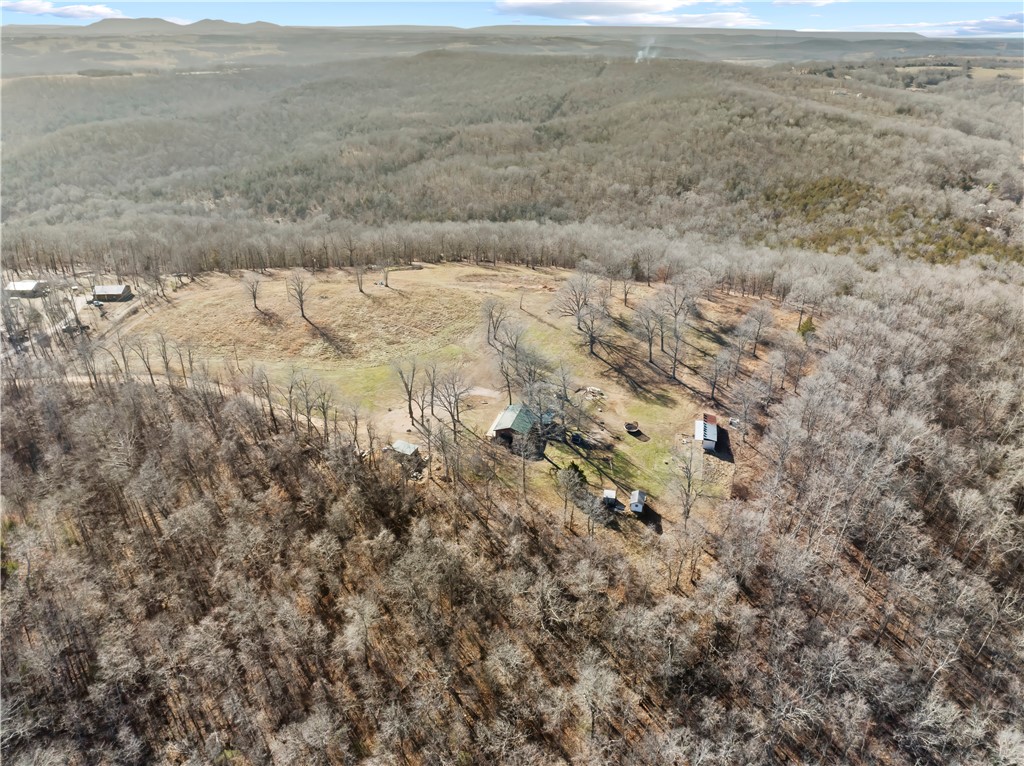 FOREST RIDGE - Residential