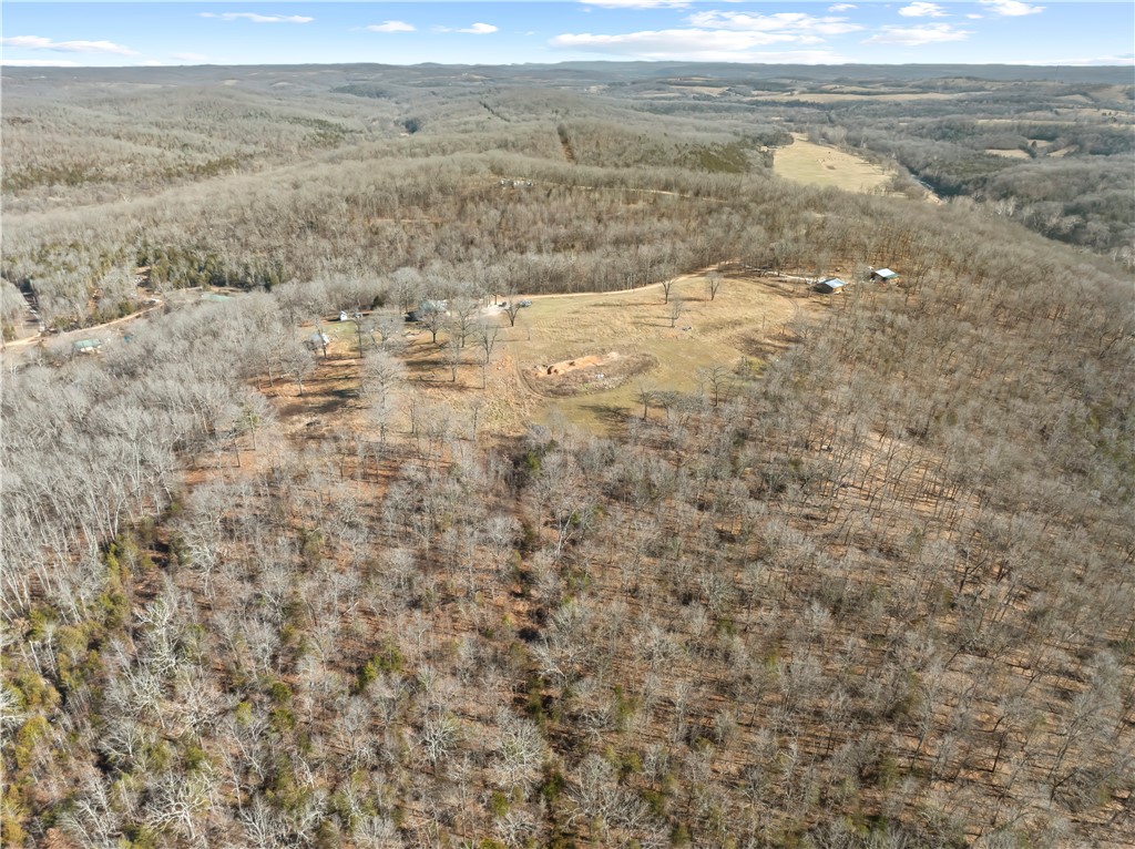 FOREST RIDGE - Residential