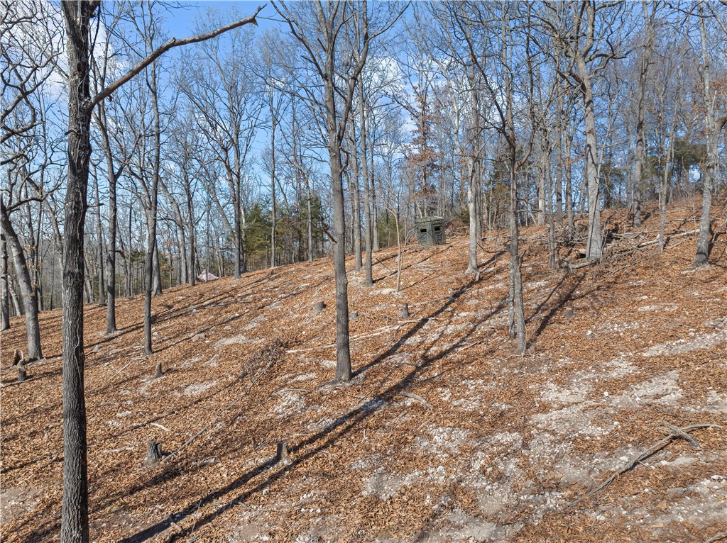 FOREST RIDGE - Residential