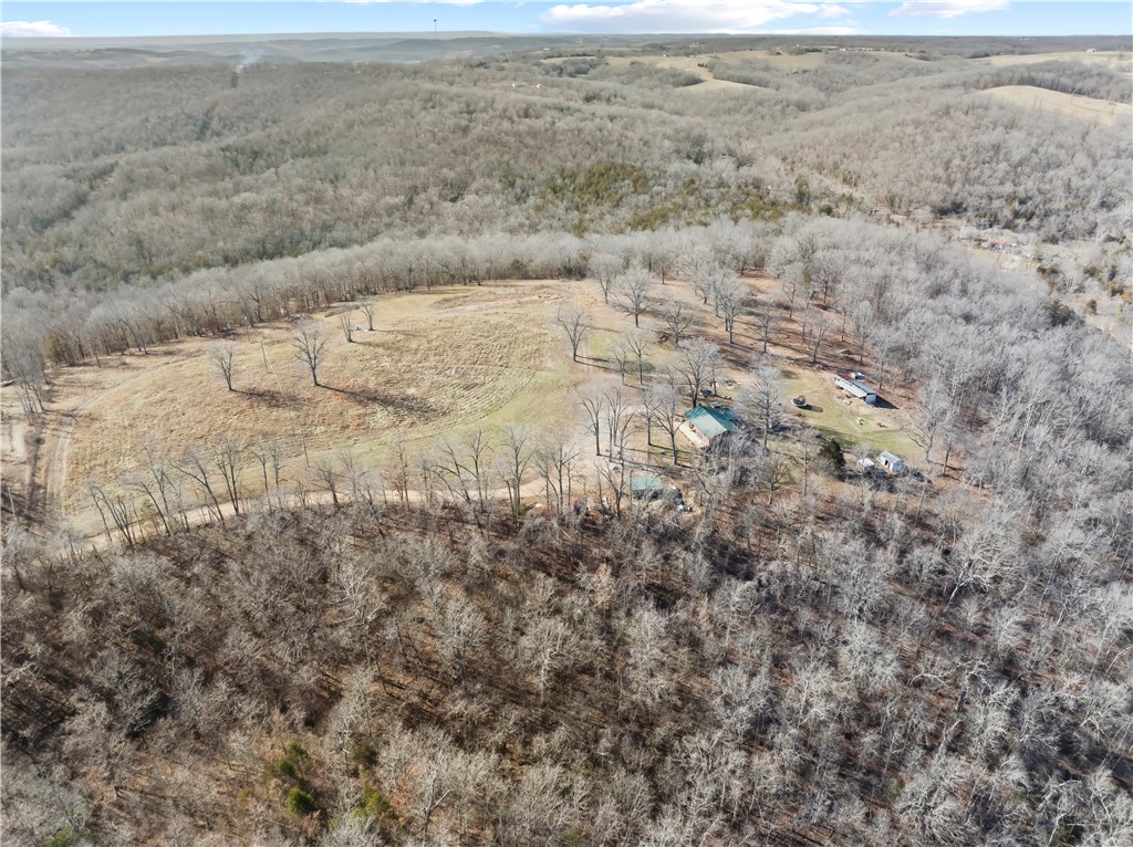 FOREST RIDGE - Residential