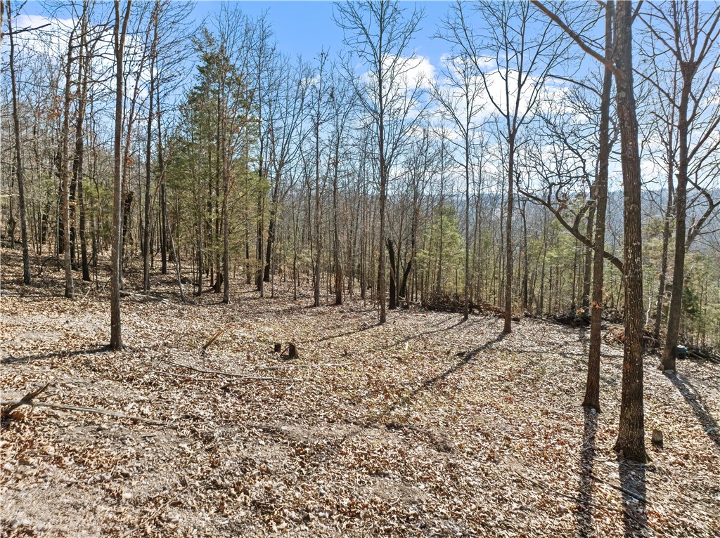 FOREST RIDGE - Residential