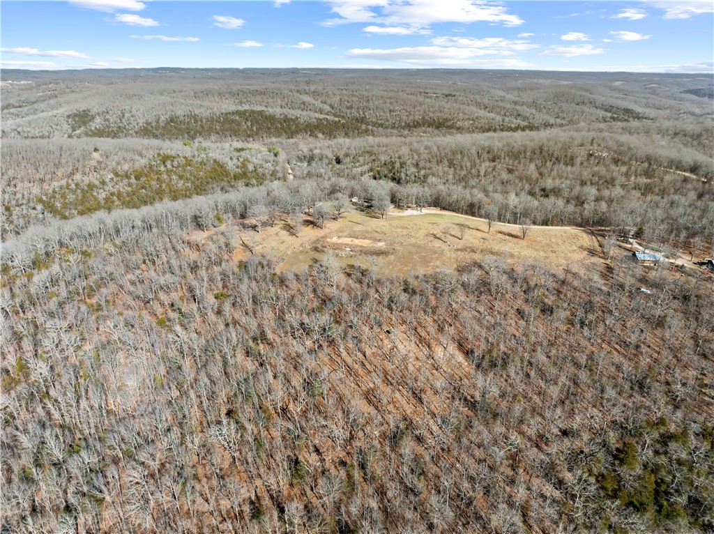 FOREST RIDGE - Residential
