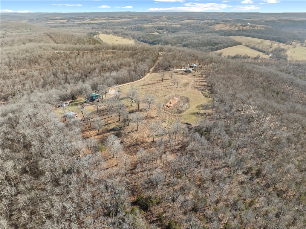 FOREST RIDGE - Residential