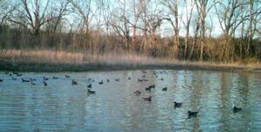 Calling All Hunters... Check out this 12.63 acres on the Petit Jean River. Looking for a duck hole or a deer honey hole, then don't let this gem slip away. There is a large duck area nearby and the ducks love to fly in and visit here. The deer come from the nearby Deltic land and make their way to the river across this property. Utilites are at the highway. Located close by is the beautiful Petit Jean Mountain State Park.