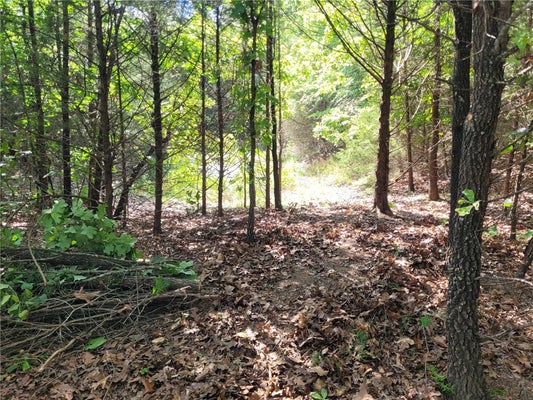 UNION STAR RD, WINSLOW, AR 72959 - Image 6dbff9710b83a75ef1c060fda1b0eb2a/2780774089
